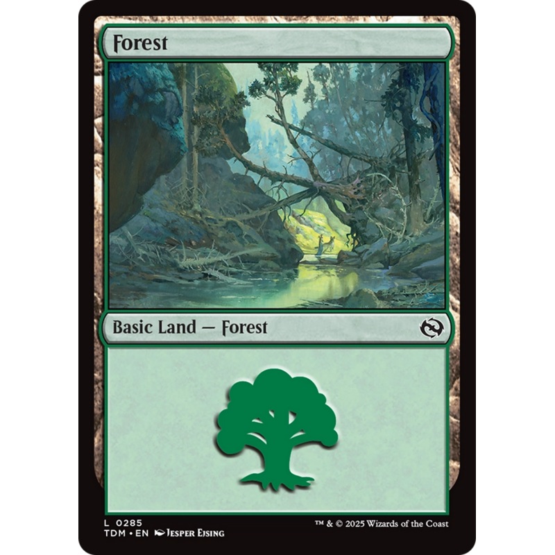 Forest (0285) [Tarkir: Dragonstorm]