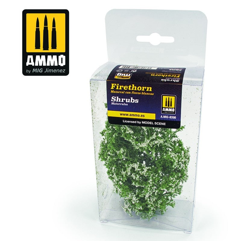 AMMO - Shrubs - Firethorn