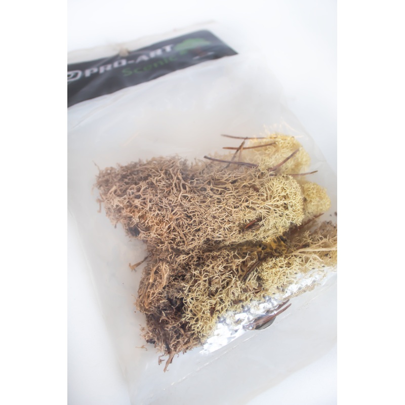 PRO-ART - MP7901  Lichen Natural