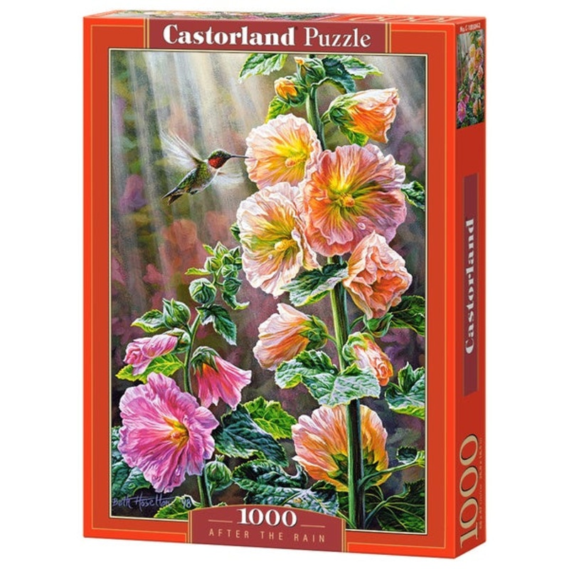 Castorland - After the Rain (1000pcs)