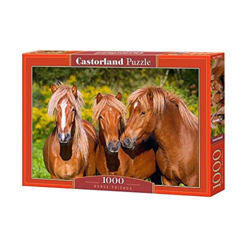 Castorland - Horse Friends (1000pcs)