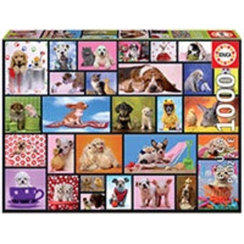 Educa - Shared Moments (1000pc)