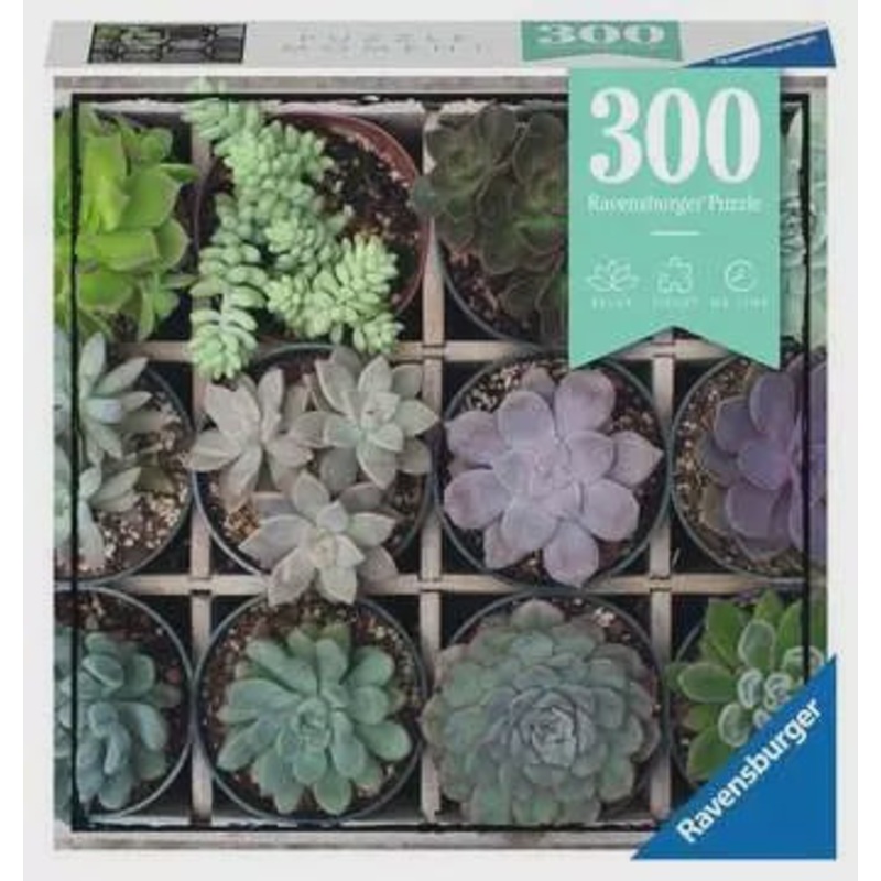 Ravensburger - Puzzle Moment Green (300pcs)