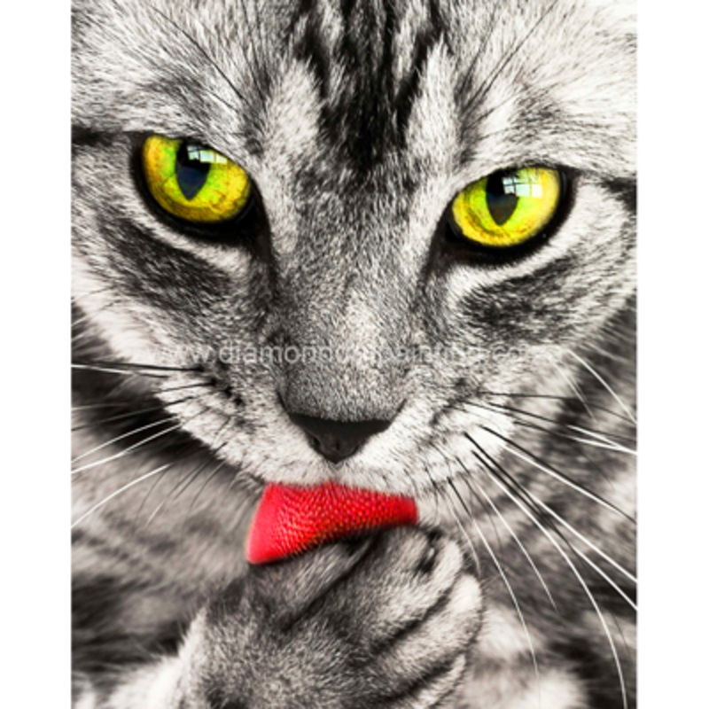 Diamond-Dot - DDP0457 - Grooming (40x50) Full (Not Framed)