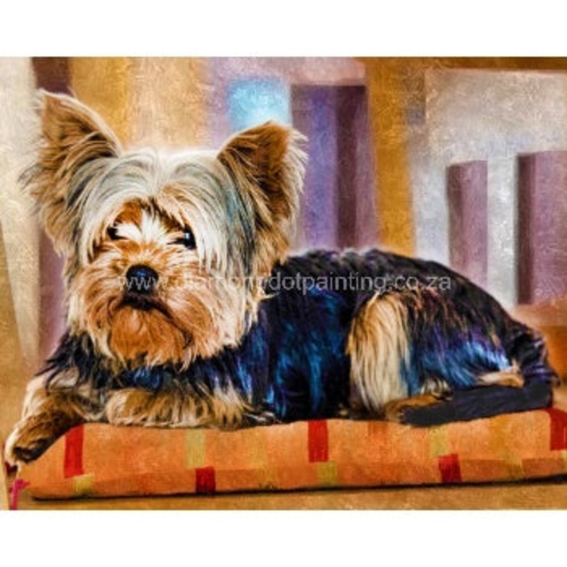 Diamond-Dot - DDP0471 - Comfy Yorkie (50x40) Full (Not Framed)