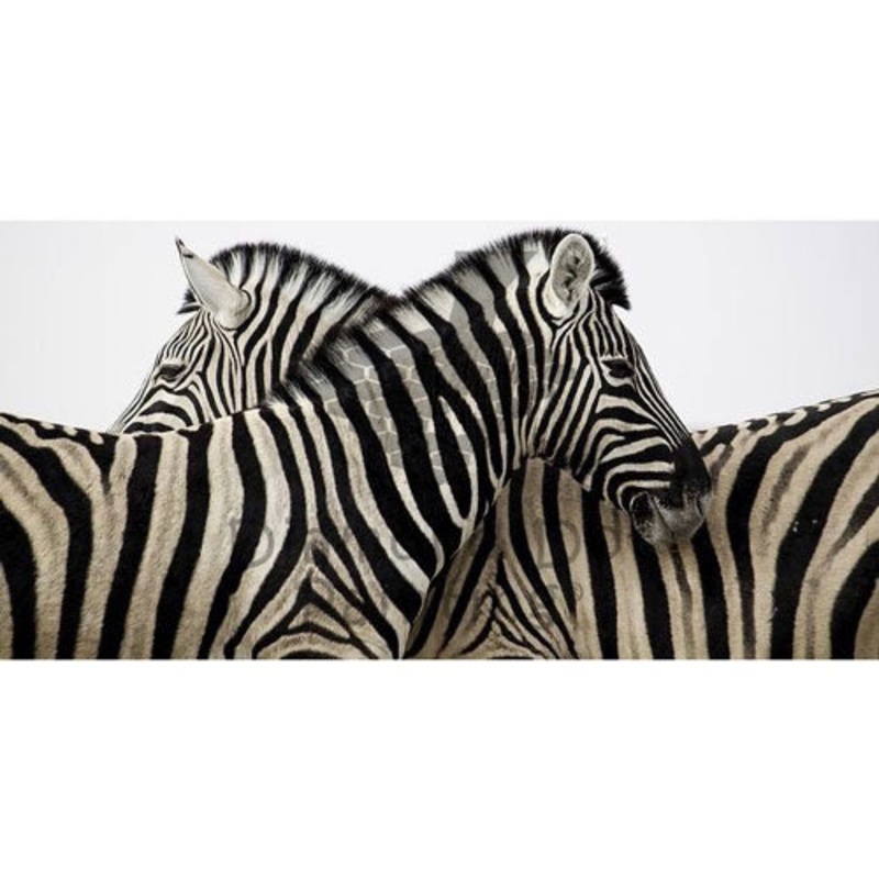 Diamond-Dot - DDP0972 - Zebra Crossing (80x40) Full (Not Framed)
